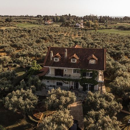 Villa Georgina B&B Katakolo Eksteriør billede