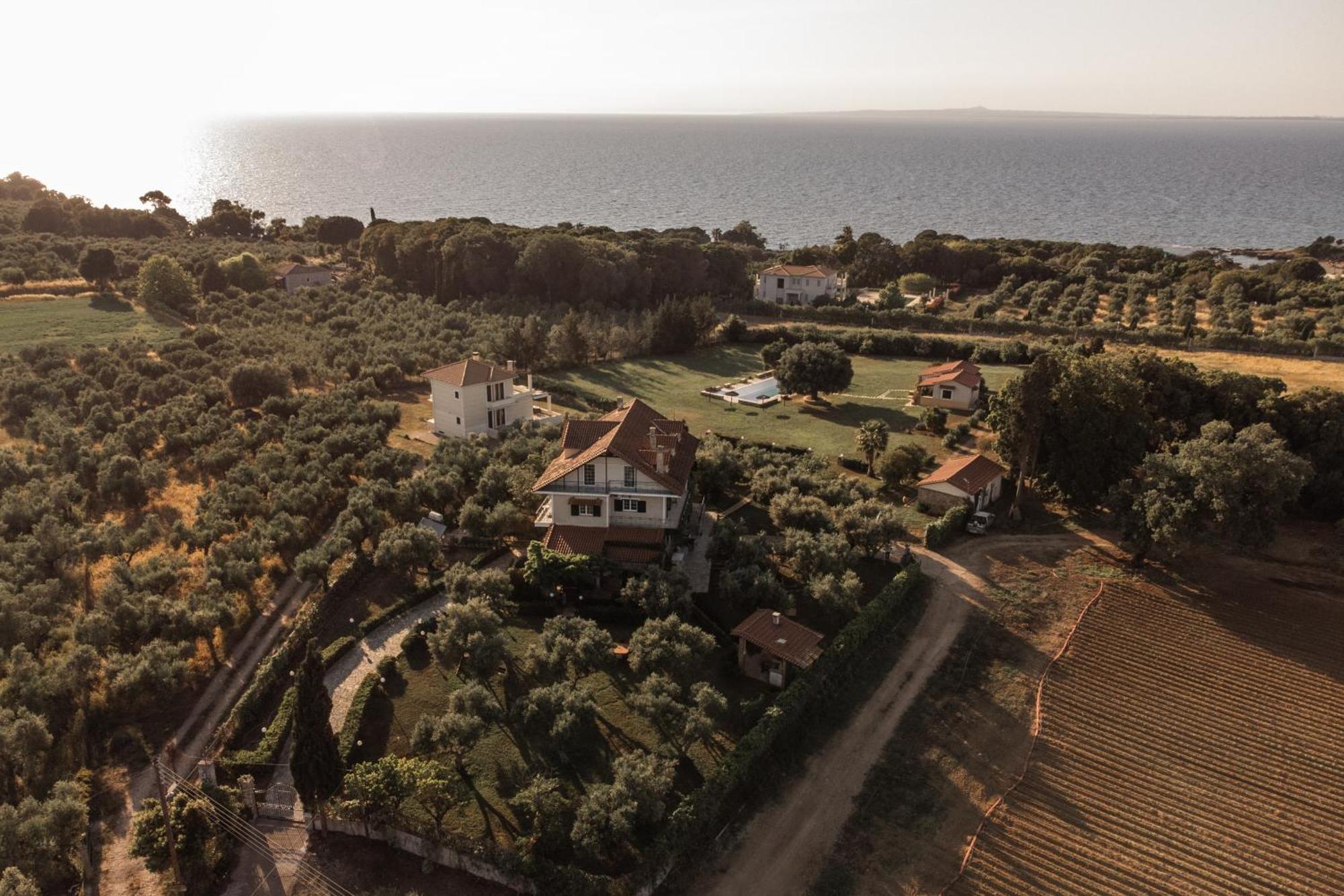 Villa Georgina B&B Katakolo Eksteriør billede